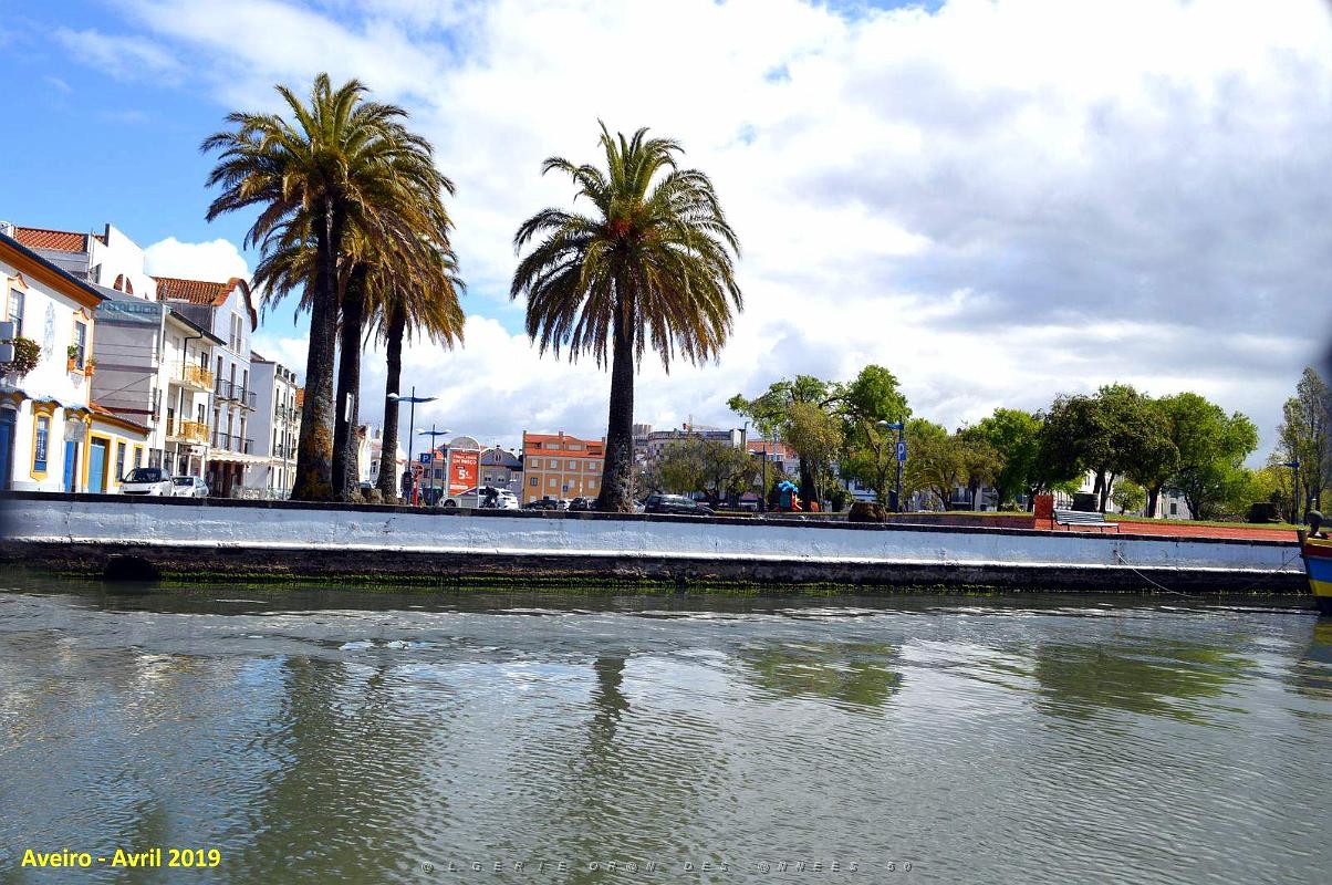 1390 - Aveiro.jpg